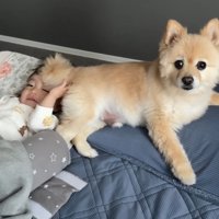 朝から仲良し♪