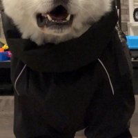 「散歩に行こう」