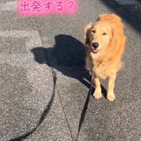 「出発する？」