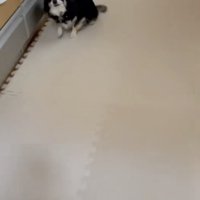 もう止まれません！