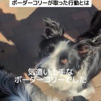 ジッピーくんの気遣い⑩