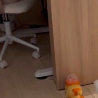犬用のおもちゃをプレゼント