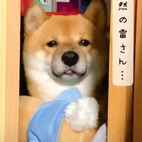 不安そうな表情が可愛い…