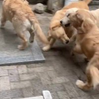 兄さん・お姉さんに！！