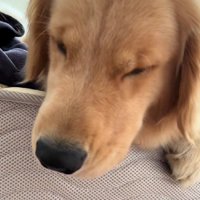 まるでお母さんみたい♡