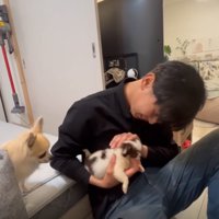 子犬を抱っこするお父さん