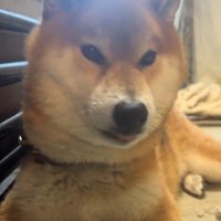 イタズラ中のぬん君8