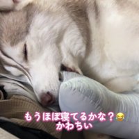 おしゃぶりしながら眠りにつく