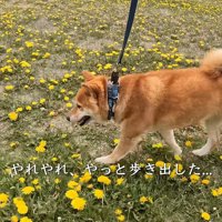 急にやる気満々！