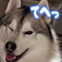 犯人はルークちゃん