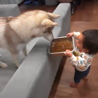 お世話ができるようになった！