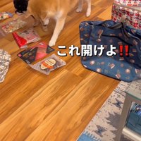 「どれから食べよう？」「これ！」
