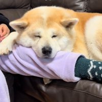 甘えん坊な駄偉助くんの日常3