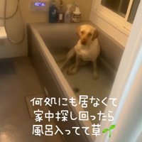 お風呂の中にいた！！
