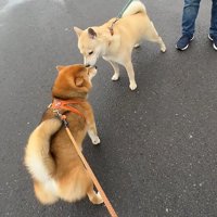 「元気だった？」