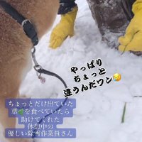 「これじゃない」