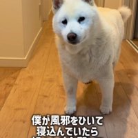 「大丈夫なの…？」