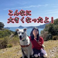 大きくなった白い犬と娘さんのツーショット