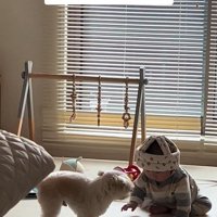 おもちゃで遊ぶワンコと赤ちゃん9