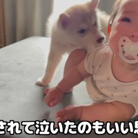 娘さんが泣いてしまうことも