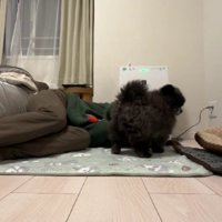 いつでもそばにくっついている