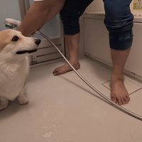 体を洗い始めると…