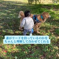 横向きの犬と男の子