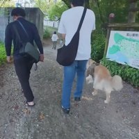 みんなでお散歩へ