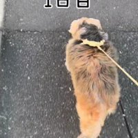 家族になって1日目のまるるちゃん