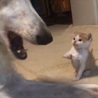 優しい