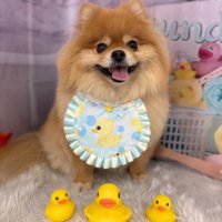 つくねちゃんも愛くるしい♪