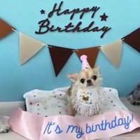 誕生日を祝ってもらったよ