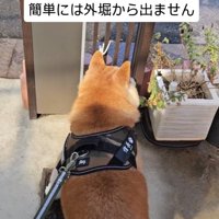 動かない信長くん