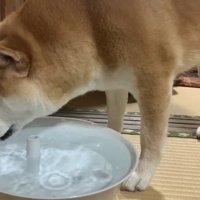 水を飲んでいる間に…