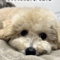 成長がたのしみ％成長がとってもたのしみ