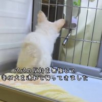 後ろ姿のソラくん