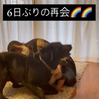 立ち上がって…