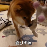 ブンブン振り回して大喜び！