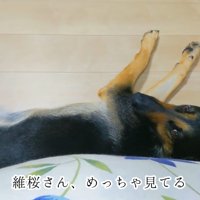 「ママももう寝るの？」
