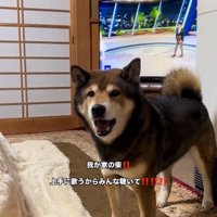 歌い出したしゅんくん