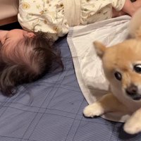 赤ちゃんの動きにびっくり！