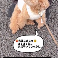 「可愛いねえ」