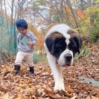 カイザーくんとの思い出8