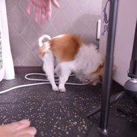 投稿主さんが救出