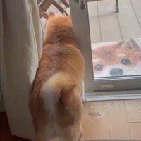 なんで