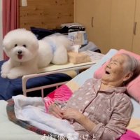 温かな視線を向けるおばあちゃん