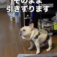 絶望的な表情のロンくん