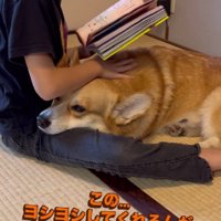 ジッさんと一緒に読書
