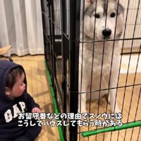 ハウスしていると…