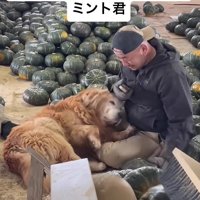 可愛い姿にキュン♡